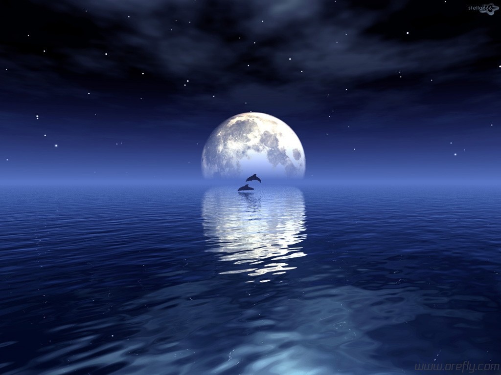 月亮和星星倒映在水中的夜空照片摄影图片_ID:108263977-Veer图库